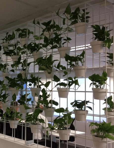 Green Wall Projects