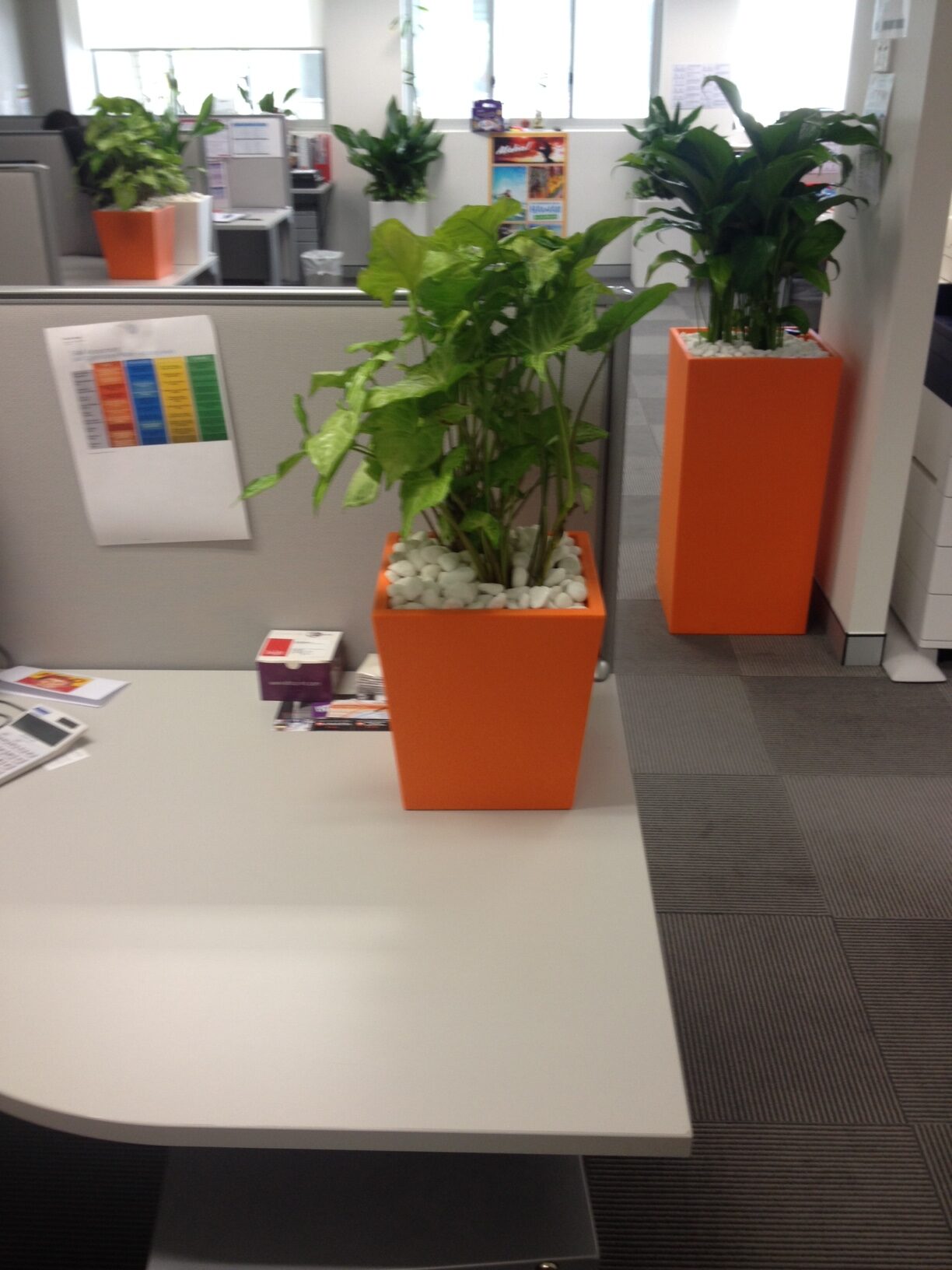 Custom Planters