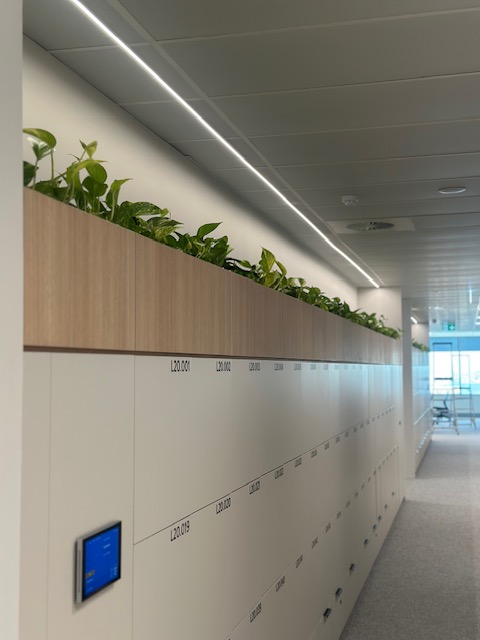 Custom Joinery