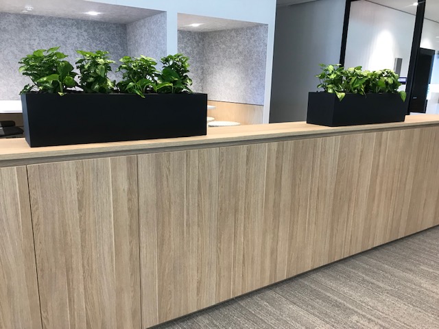 Urban Trough