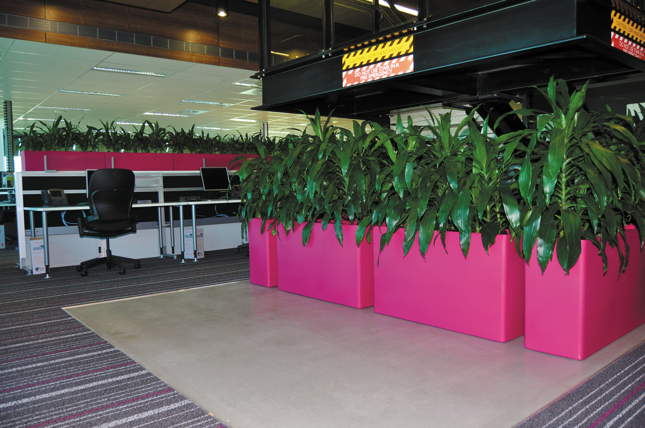 Custom Planters