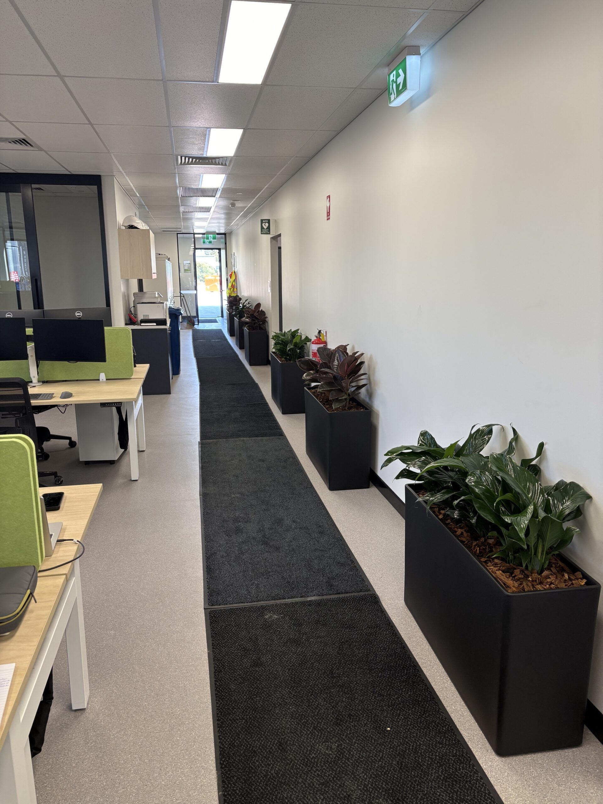 Trough Planters