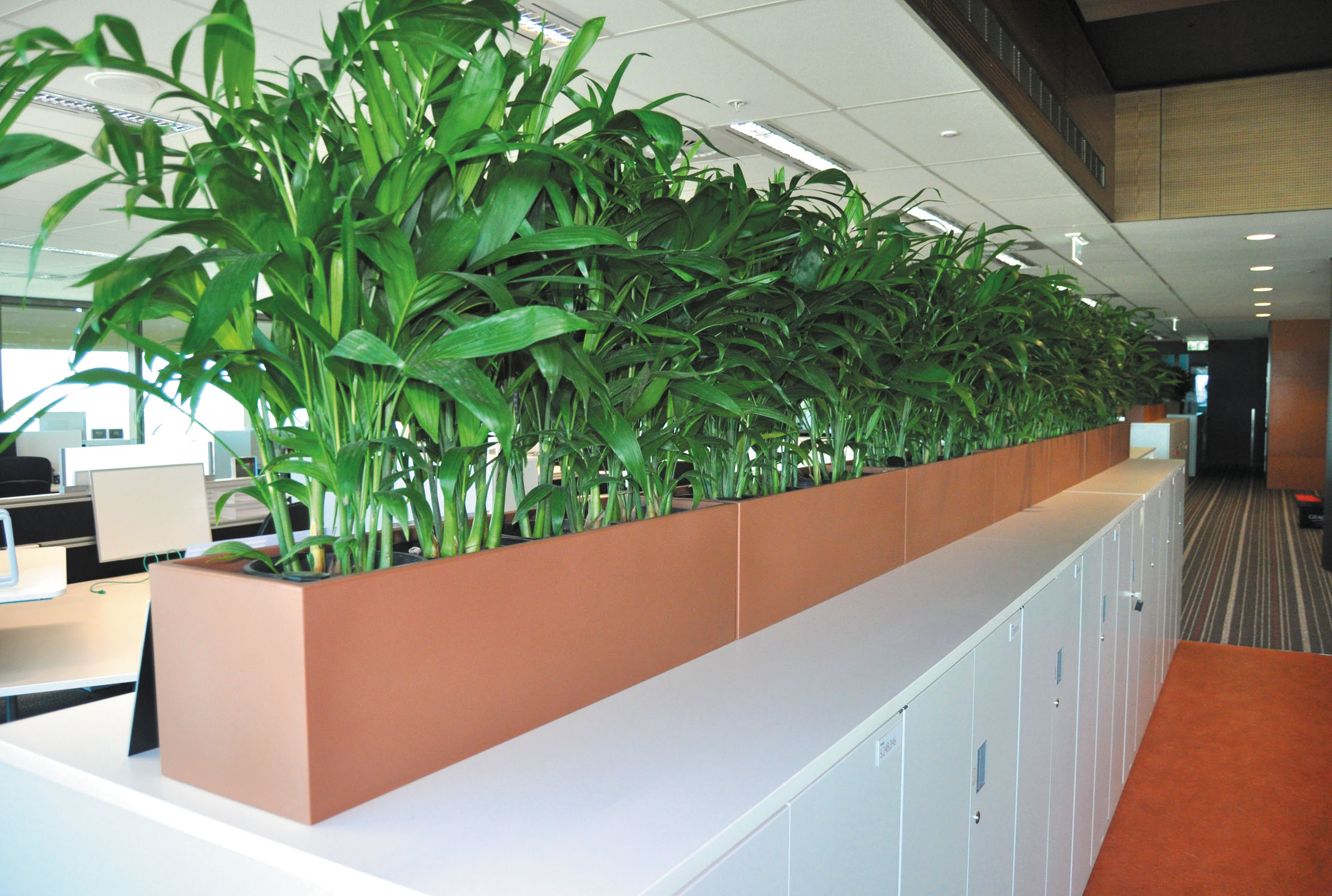 Custom Planters