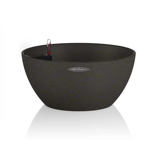 Graphite Black
