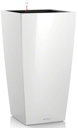 White High Gloss