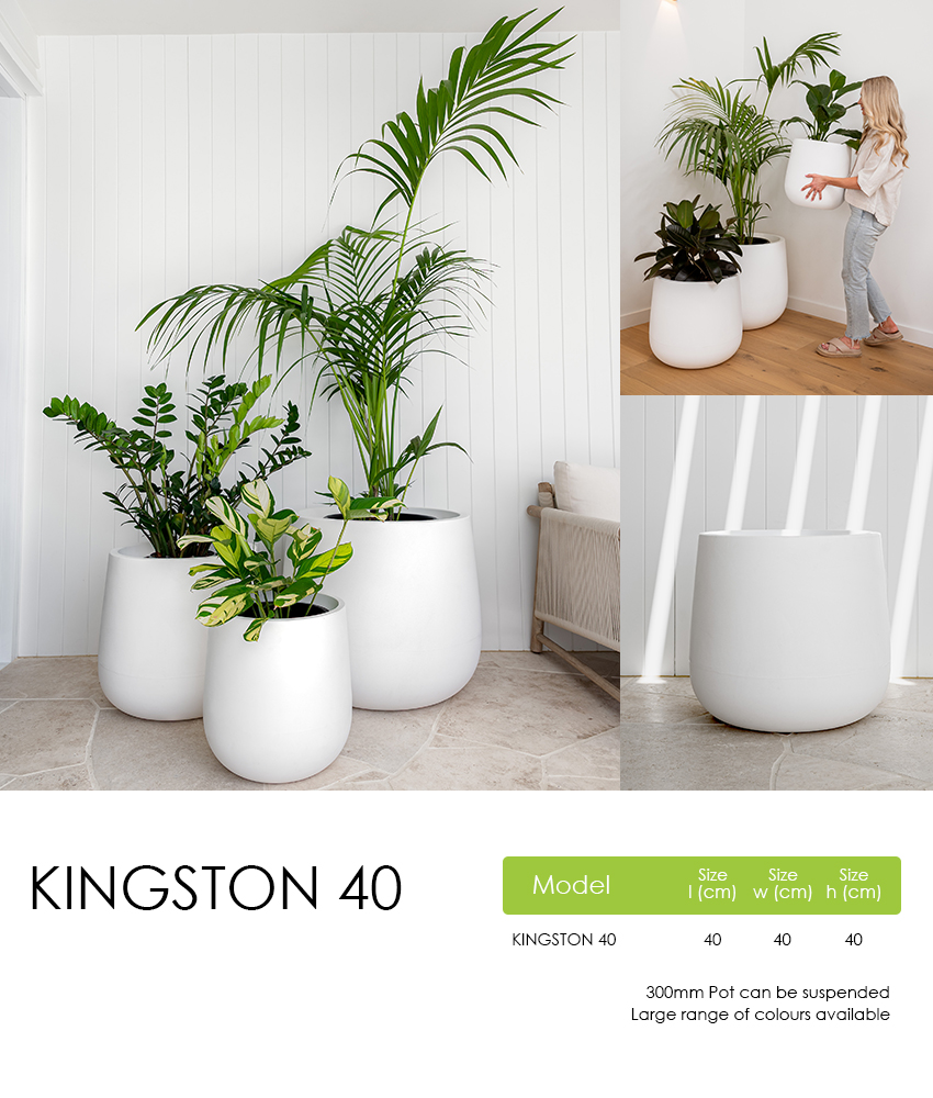 Kingston