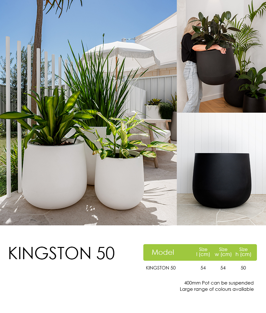 Kingston