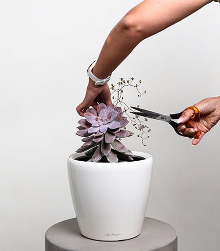 Easy Plant Maintenance