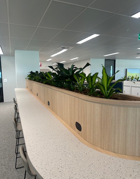 Custom Planters