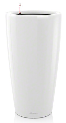 White High Gloss