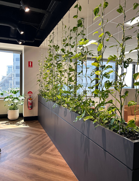 Green Walls