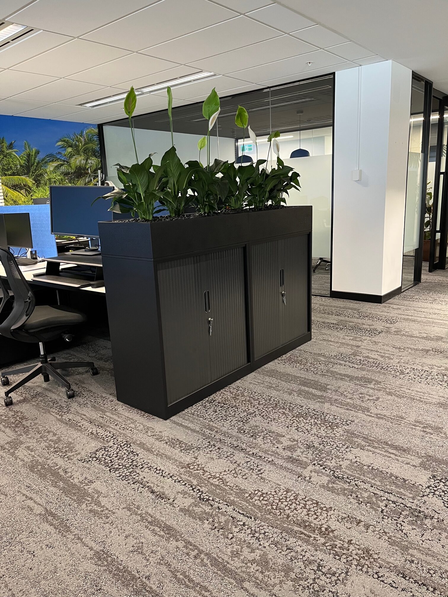 Benefits of Indoor Plants in Perth Offices