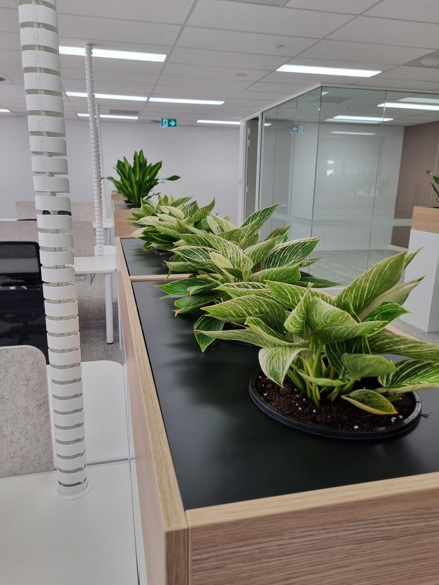 Tambour Units